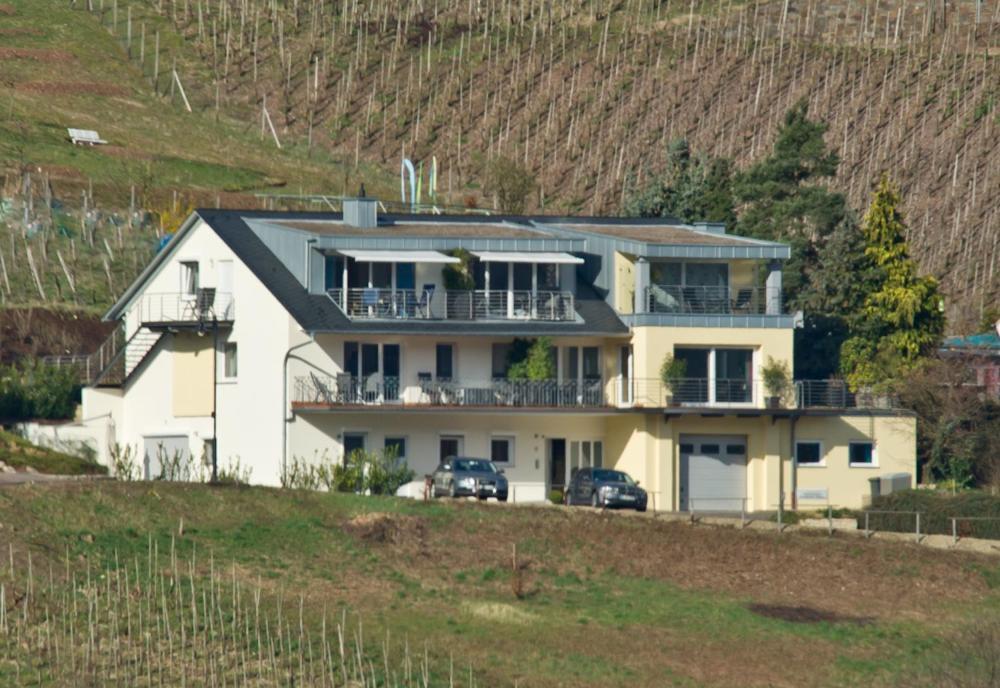Ferienhaus Panorama Mosel Reil Exterior foto